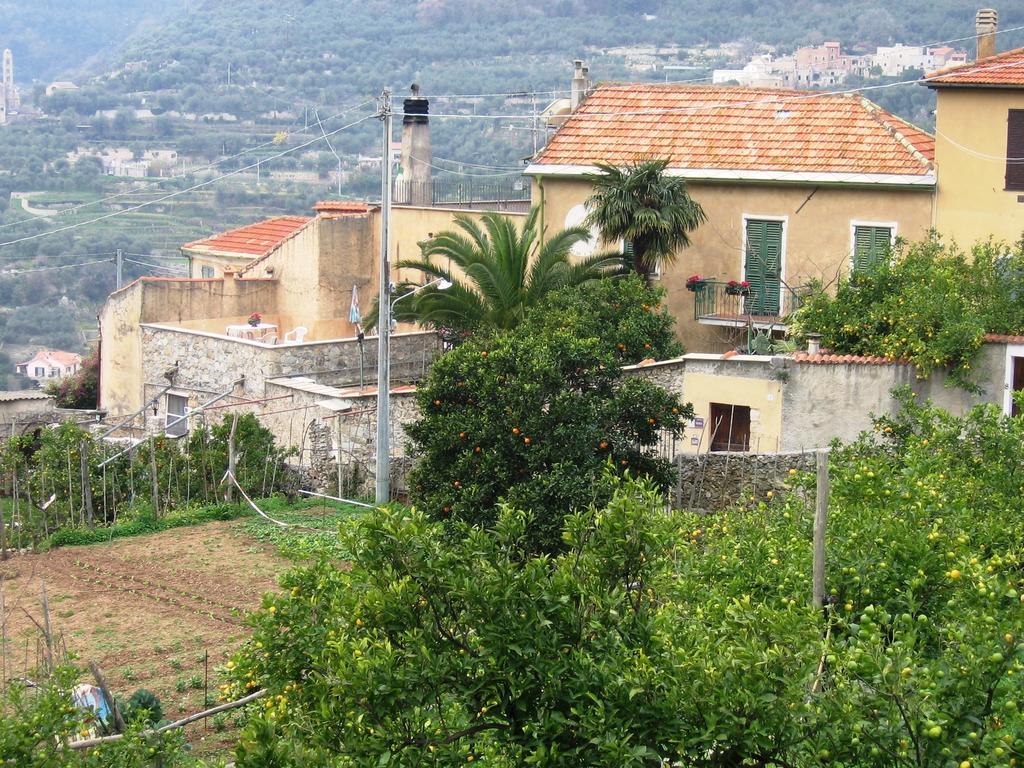 פינאלה ליגורה Agriturismo Barilaro מראה חיצוני תמונה