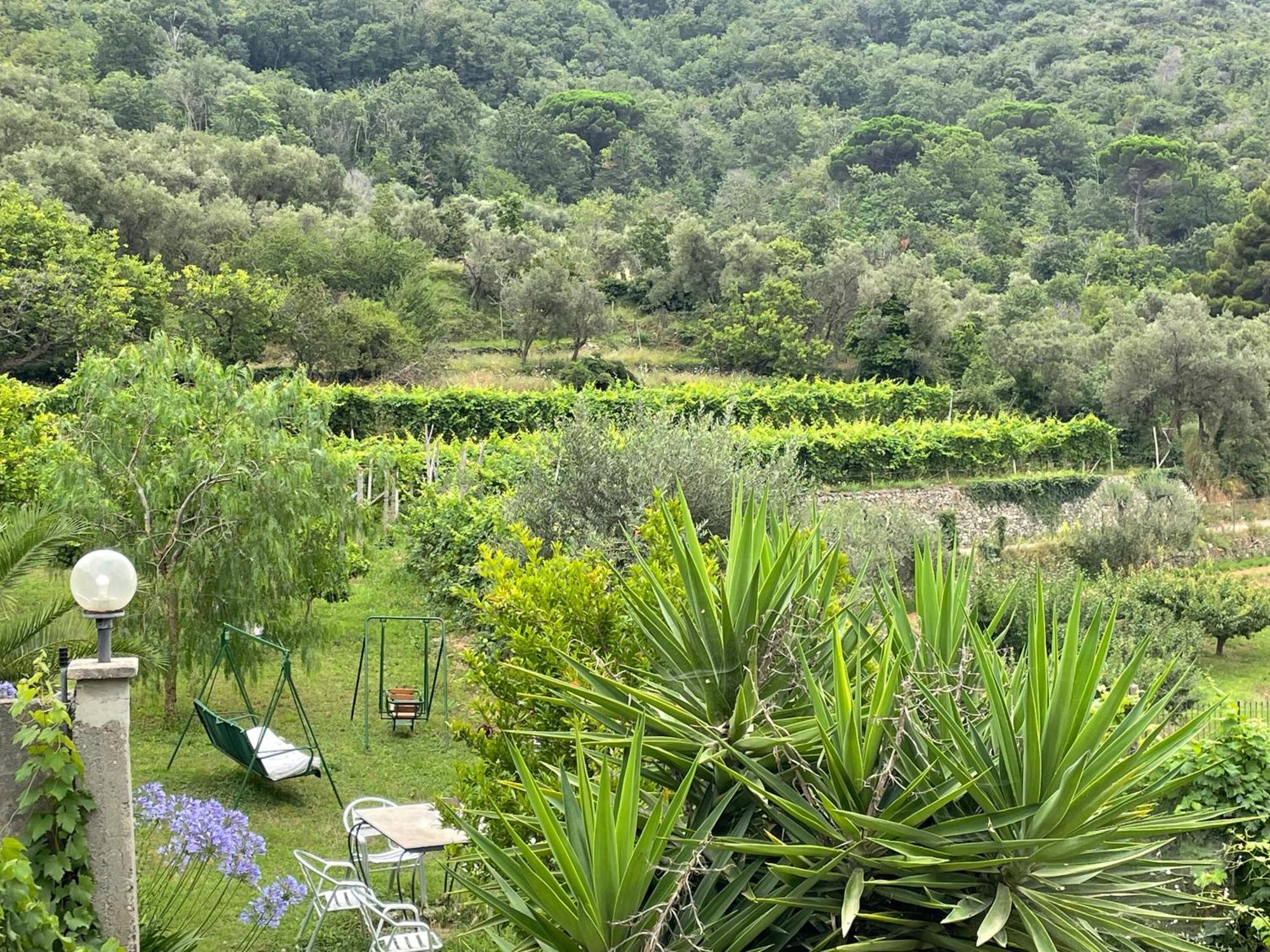 פינאלה ליגורה Agriturismo Barilaro מראה חיצוני תמונה