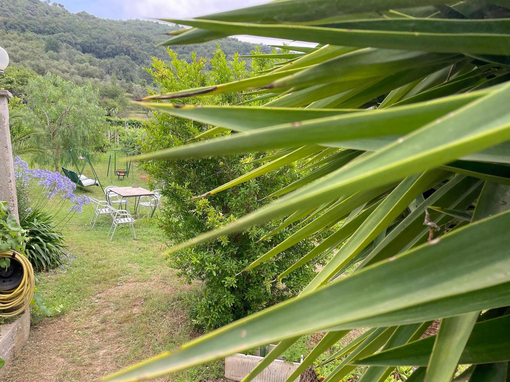 פינאלה ליגורה Agriturismo Barilaro מראה חיצוני תמונה