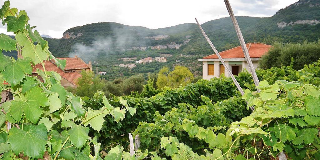 פינאלה ליגורה Agriturismo Barilaro מראה חיצוני תמונה