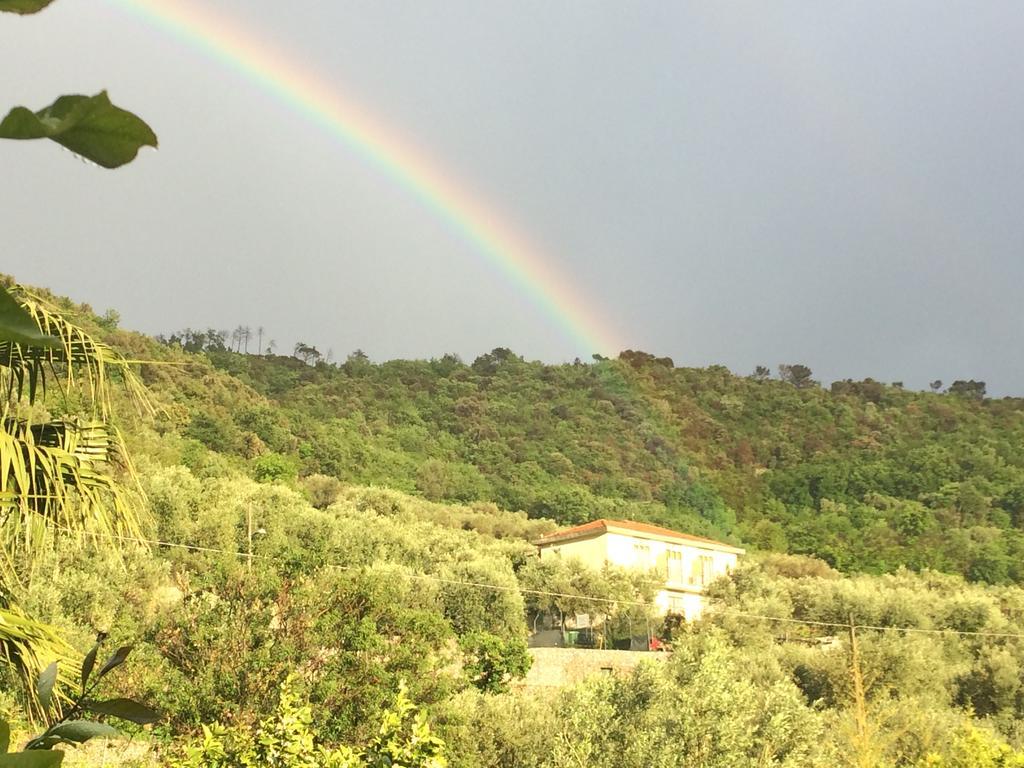 פינאלה ליגורה Agriturismo Barilaro מראה חיצוני תמונה